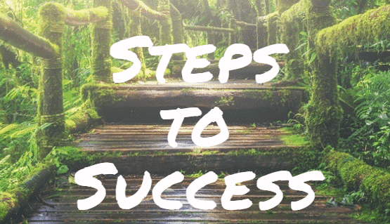 steps for success
